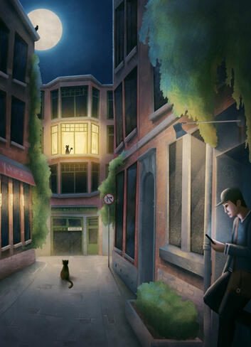 La rue des chats